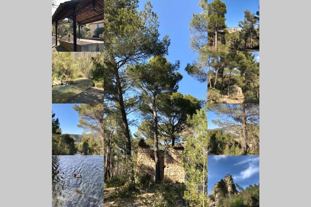 Villa La Mansio LʼIsle-sur-la-Sorgue Exterior foto